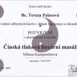 Čínská tlaková lineární masáž