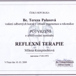 Reflexní terapie